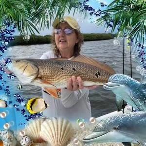 Meet your Posher, Wanda